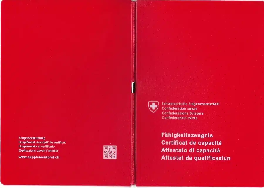 Federally Certified Software Developer (EFZ)